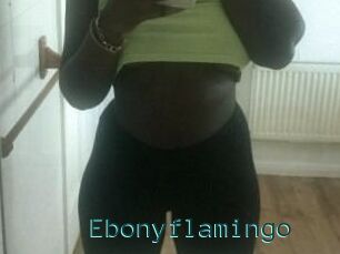 Ebony_flamingo