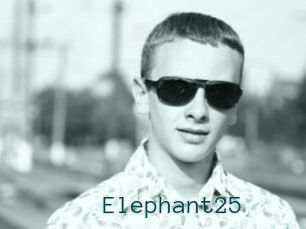 Elephant25