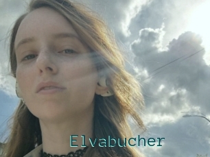 Elvabucher