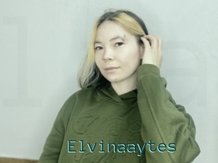 Elvinaaytes