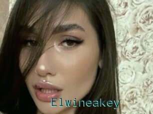 Elwineakey