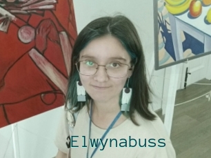Elwynabuss