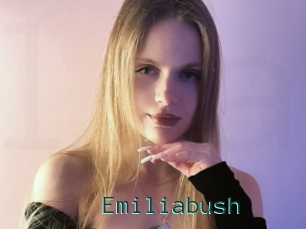 Emiliabush