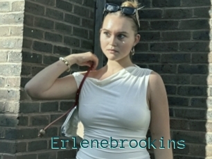 Erlenebrookins