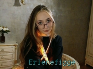 Erlenefigge