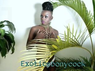 Exoticebonycock