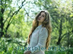 FlexibleKatrin