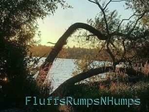 FluffsRumpsNHumps