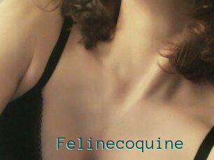 Felinecoquine