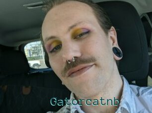 Gatorcatnb