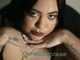 Genesisrosse