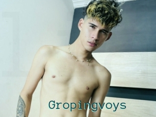 Gropingvoys