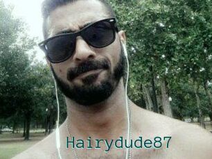 Hairydude87