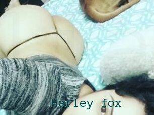 Harley_fox