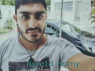 Harold_horny