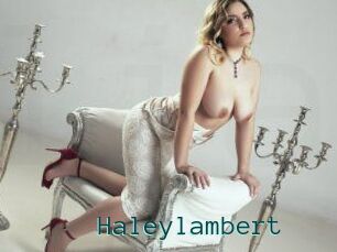 Haleylambert