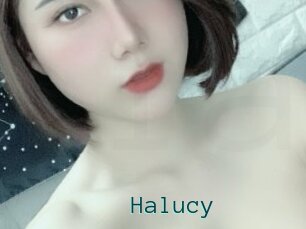 Halucy