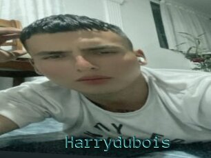 Harrydubois