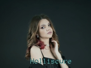 Holliscure