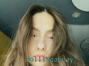 Hollisgarney