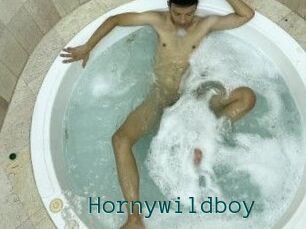 Hornywildboy