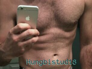 Hungbistud18