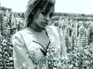 Indigo_22