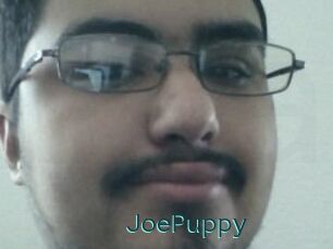 JoePuppy