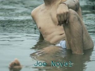 Joe_Novel