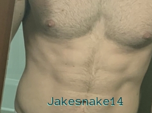 Jakesnake14