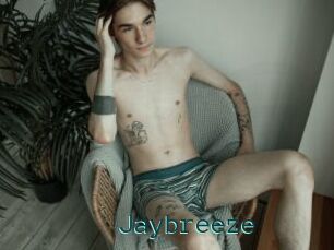 Jaybreeze