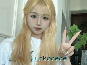 Junkocece