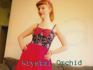 Krystal_Orchid