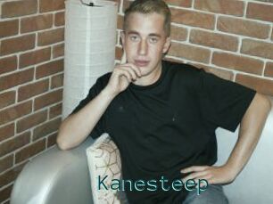 Kanesteep