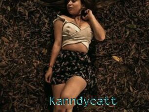 Kanndycatt