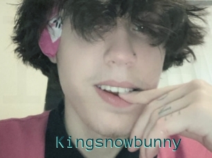 Kingsnowbunny