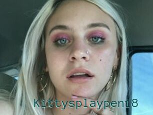 Kittysplaypen18