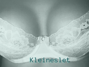 Kleineslet