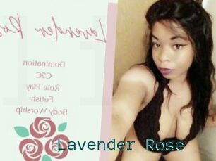 Lavender_Rose