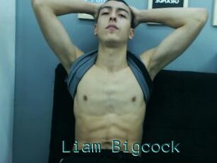 Liam_Bigcock