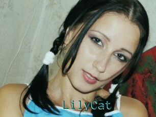 Lily_Cat_