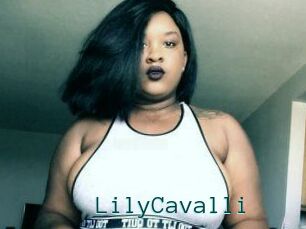 Lily_Cavalli