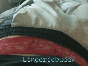 Lingeriebuddy