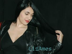 LizAmes