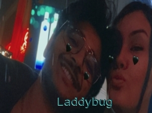 Laddybug