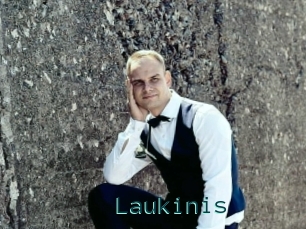 Laukinis