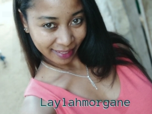 Laylahmorgane