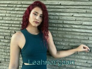Leahmorgaan
