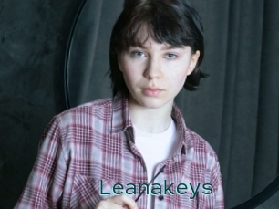 Leanakeys