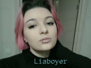 Liaboyer